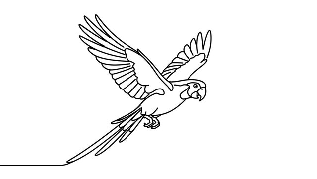 Parrot flying illustration on white background.