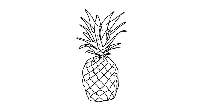 Hand drawn pineapple illustration white background.