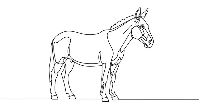 Line drawing of a donkey on white background.