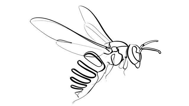 Minimalist bee drawing on white background.