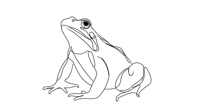 Line art frog illustration white background.