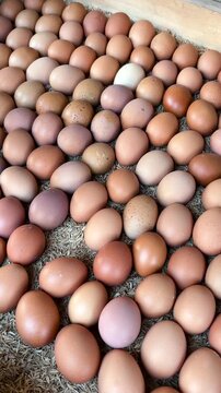 Fresh chicken eggs are neatly arranged in a wooden egg crate.