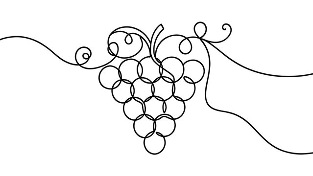 Elegant grape cluster illustration white background.