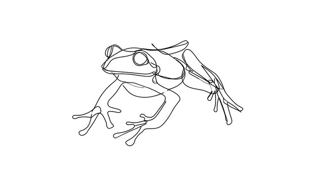 Line art frog illustration white background.