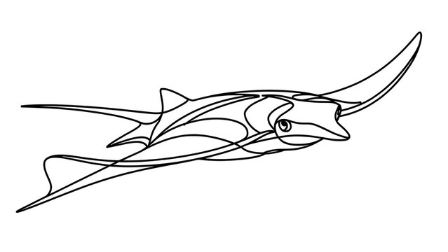 Sawfish line drawing illustration white background.