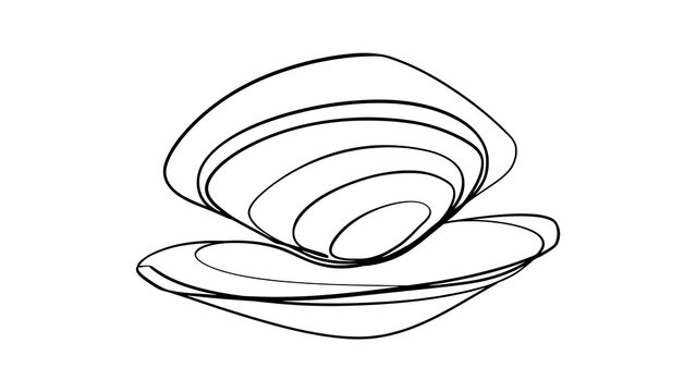 Minimalist line art clam shell white background.