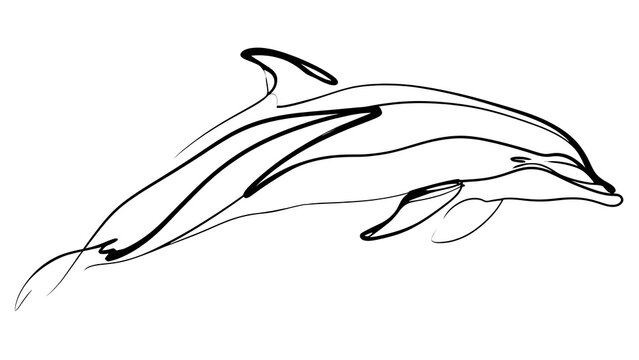 Elegant dolphin line art illustration white background.