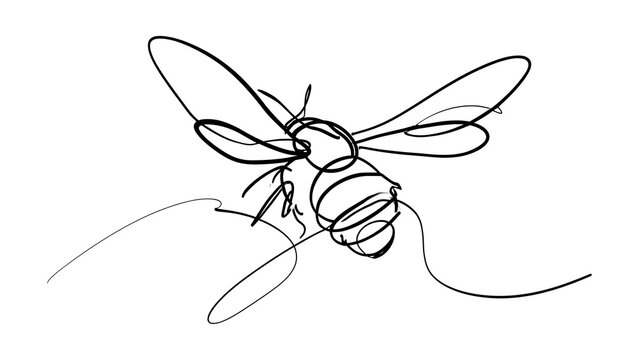 Minimalist line art bee drawing white background.