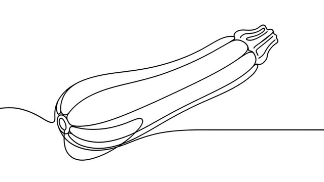 Minimalist zucchini line drawing white background.