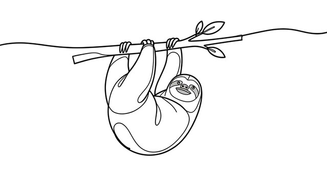 Sloth hanging from branch white background.