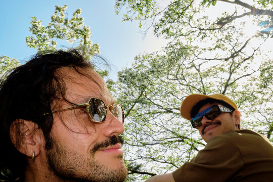 Two Men Looking Up at Trees in Park