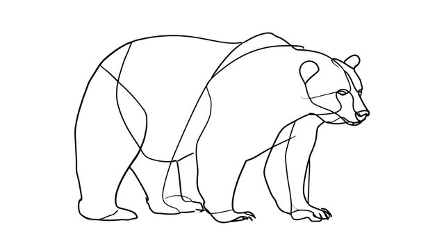 Minimalist bear line drawing white background.
