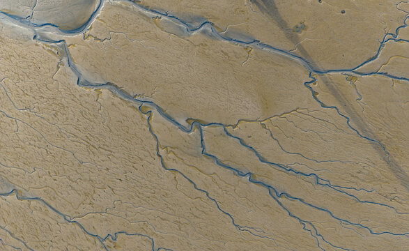 tidal creek patterns on coastal mudflat
