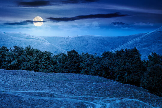 carpathian mountain landscape in summer at night. full moon over primeval beech forest on the grassy hill. mysterious scenery of ukrainian highlands. pristine ecosystem of europe