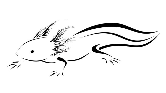 Minimalist aardvark line art white background.