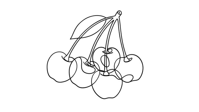 Minimalist line art cherries white background.