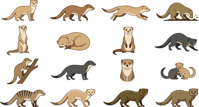 Collection of sixteen flat vector illustrations featuring various mongoose species in diverse natural animal poses