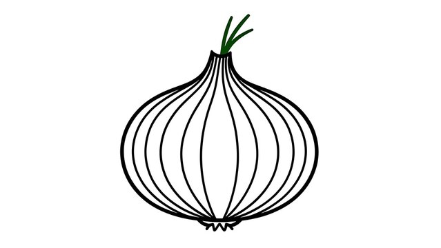 Simple onion line art illustration white background.