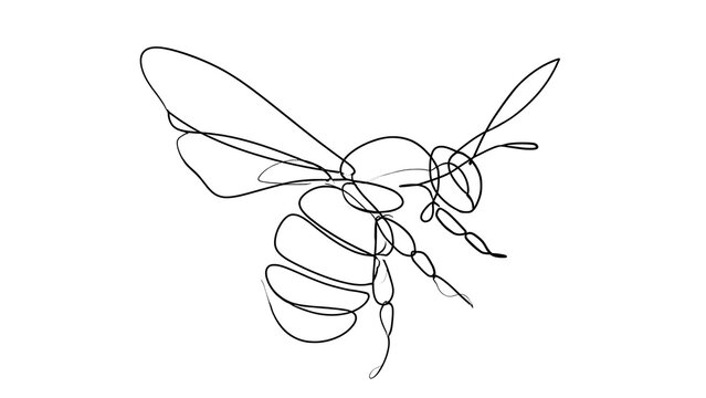 Minimalist line art bee drawing white background.