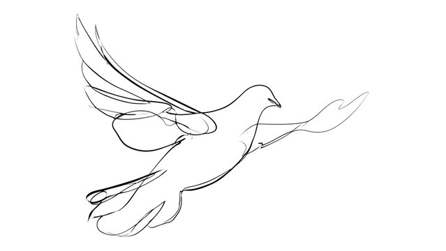 Flying bird sketch illustration white background.