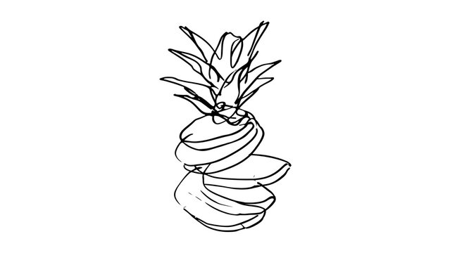 Minimalist pineapple sketch on white background.