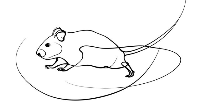 Cartoon mouse running on white background.