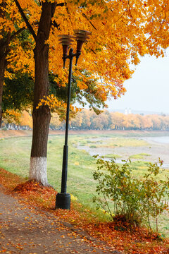 street on the river shore in autumn. uzhhorod city with in fall season. reflection on the water. linden trees and lantern