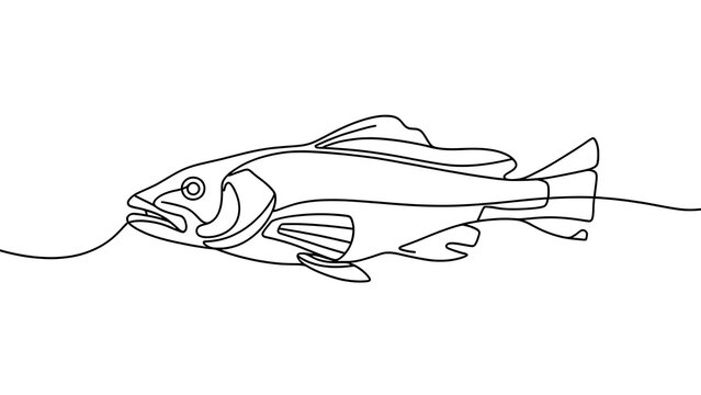 Minimalist line art fish drawing on white background.