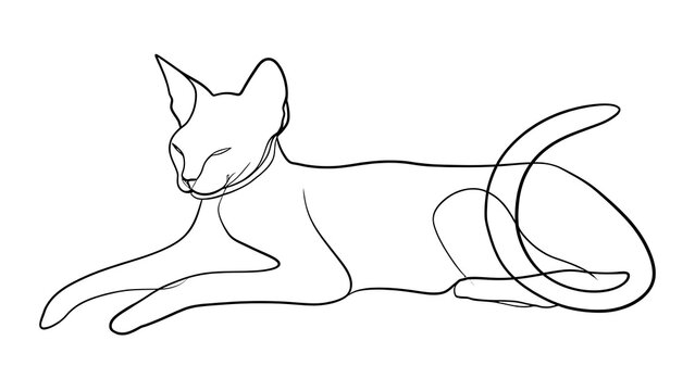 Elegant cat line drawing on white background.