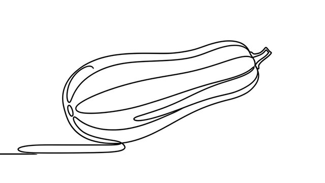 Simple line art zucchini drawing white background.