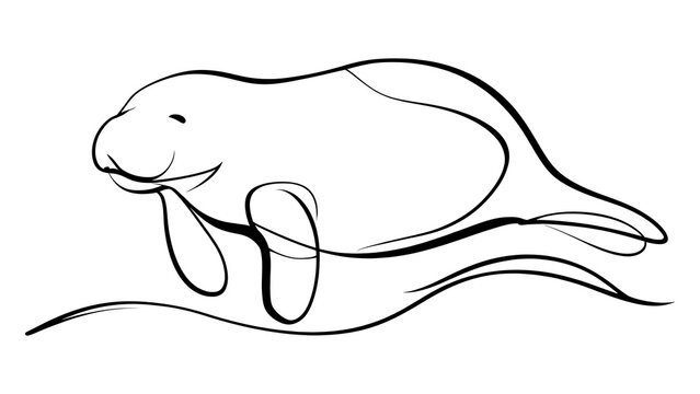 Minimalist manatee line art illustration white background.