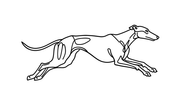 Greyhound dog running illustration white background.