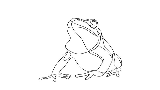 Minimalist line art frog illustration white background.