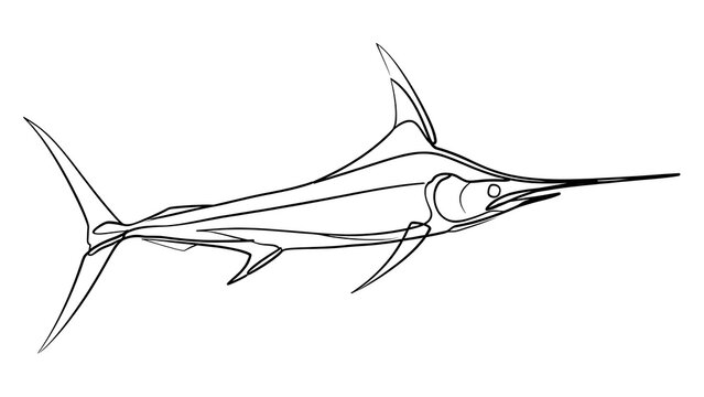 Swordfish line art illustration white background.