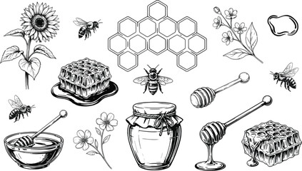 Honey production sketch vector set, hand drawn beekeeping elements collection with honey jar, honeycomb, bees, dipper, and sunflower isolated on background
