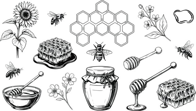 Honey production sketch vector set, hand drawn beekeeping elements collection with honey jar, honeycomb, bees, dipper, and sunflower isolated on background