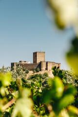 The Castle of Belver (Castelo de Belver), a Portuguese castle in the civil parish of Belver, municipality of Gavião, constructed by the Hospitallers during the Middle Ages. © Nessa Gnatoush