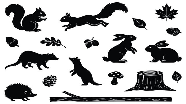 Small forest animals black silhouettes vector icons set, woodland wildlife stencil collection with squirrel rabbit hedgehog and marten isolated on white background
