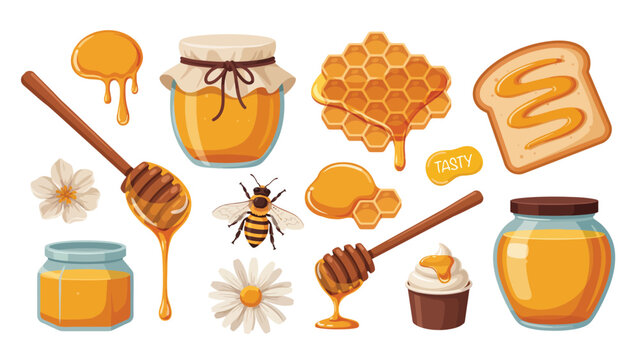 Sweet honey element set with glass jars dipper honeycomb bee and toast vector illustration