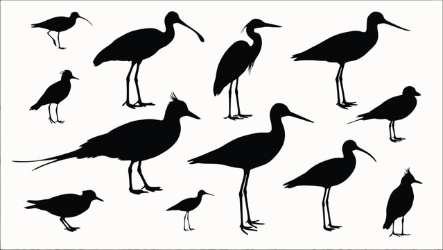 Wading birds black silhouettes vector set, shorebirds stencil icon collection with herons, ibises, sandpipers, and plovers isolated on background