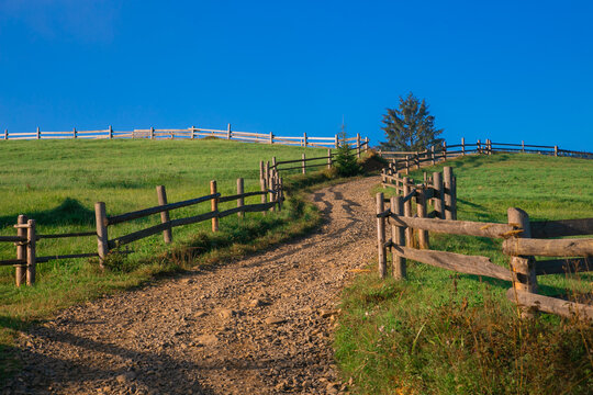 Rural dirt road winding through green fields and wooden fences under a clear blue sky. Peaceful countryside landscape with traditional wooden fencing, grassy meadows and a country road leading into