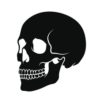Human skull silhouette in profile with visible teeth and eye socket is depicted in a high-contrast black and white graphic.