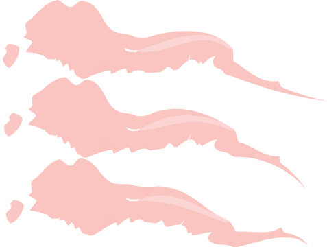 Three pink corol shapes on surface brush Vector