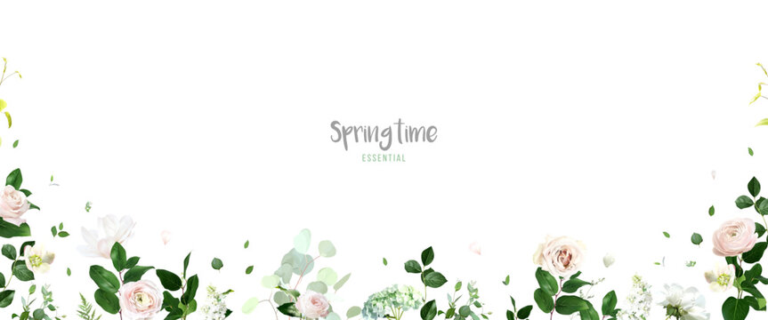 Light pink rose, white magnolia, ranunculus, lilac, greenery vector design banner frame. Wedding seasonal flower card. Floral watercolor horizontal composition. Elements are Isolated and editable