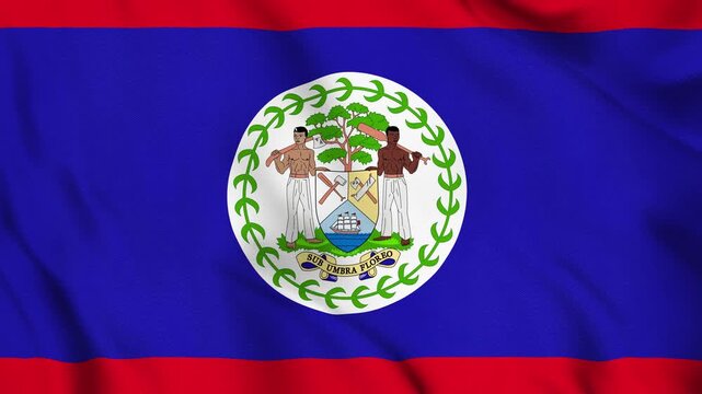 Belize National Flag Waving in Wind with Realistic Fabric Texture, Seamless Loop Animation 4K