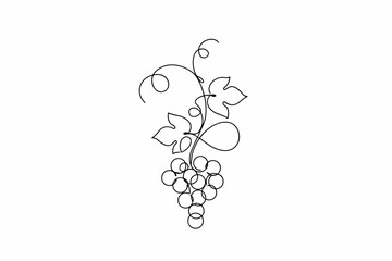 Obraz premium Minimalist botanical drawing featuring a cluster of grapes and curling vine leaves in a continuous line art style isolated on a plain white background