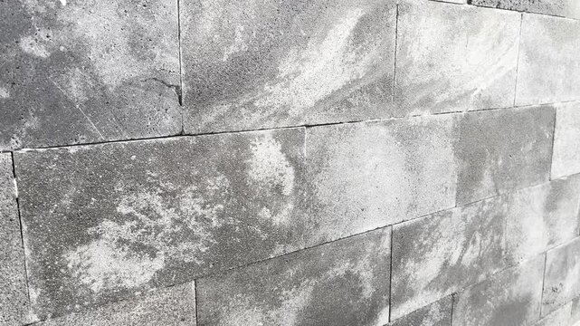 Old weathered concrete wall texture with mold and moss decay