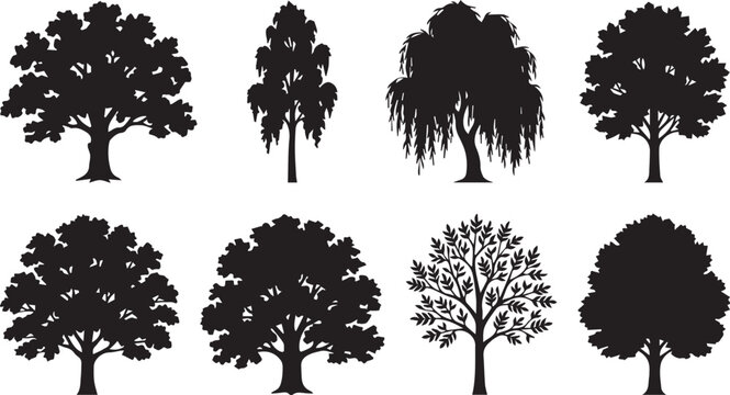 Deciduous tree silhouettes vector icons set featuring oak birch weeping willow maple isolated on white background