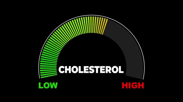 Graphic animation of a cholesterol meter with segmented low to high indicators, ideal for illustrating medical data, wellness, and preventive healthcare concepts. Speedometer graphic