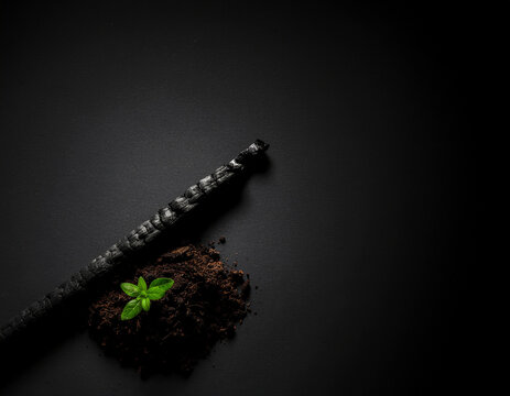 minimalist conceptual composition contrasting a charred matchstick with a fresh green sprout